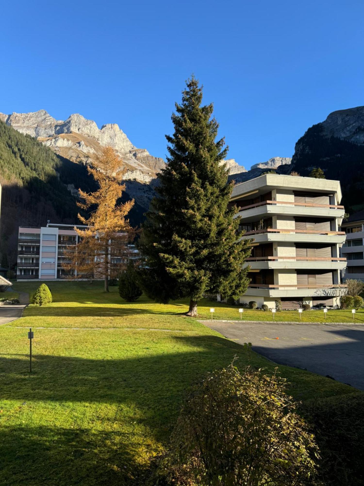 Sehr Schoene In * Engelberg